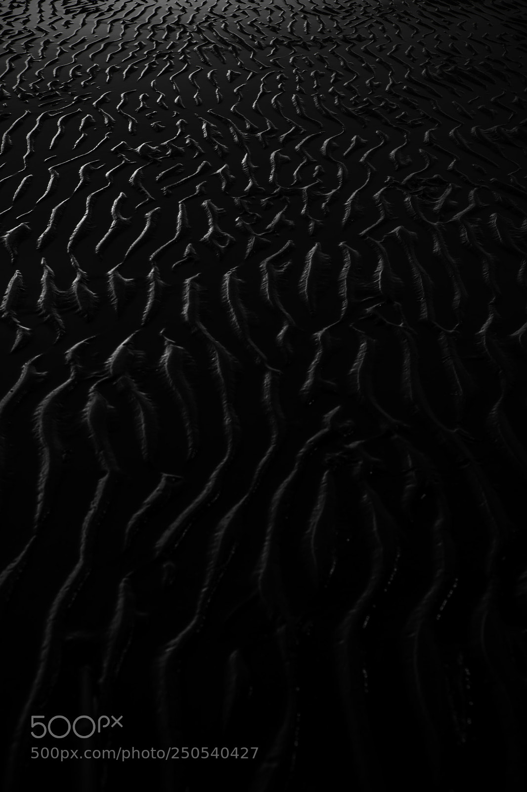 Nikon D500 sample photo. Ripples photography