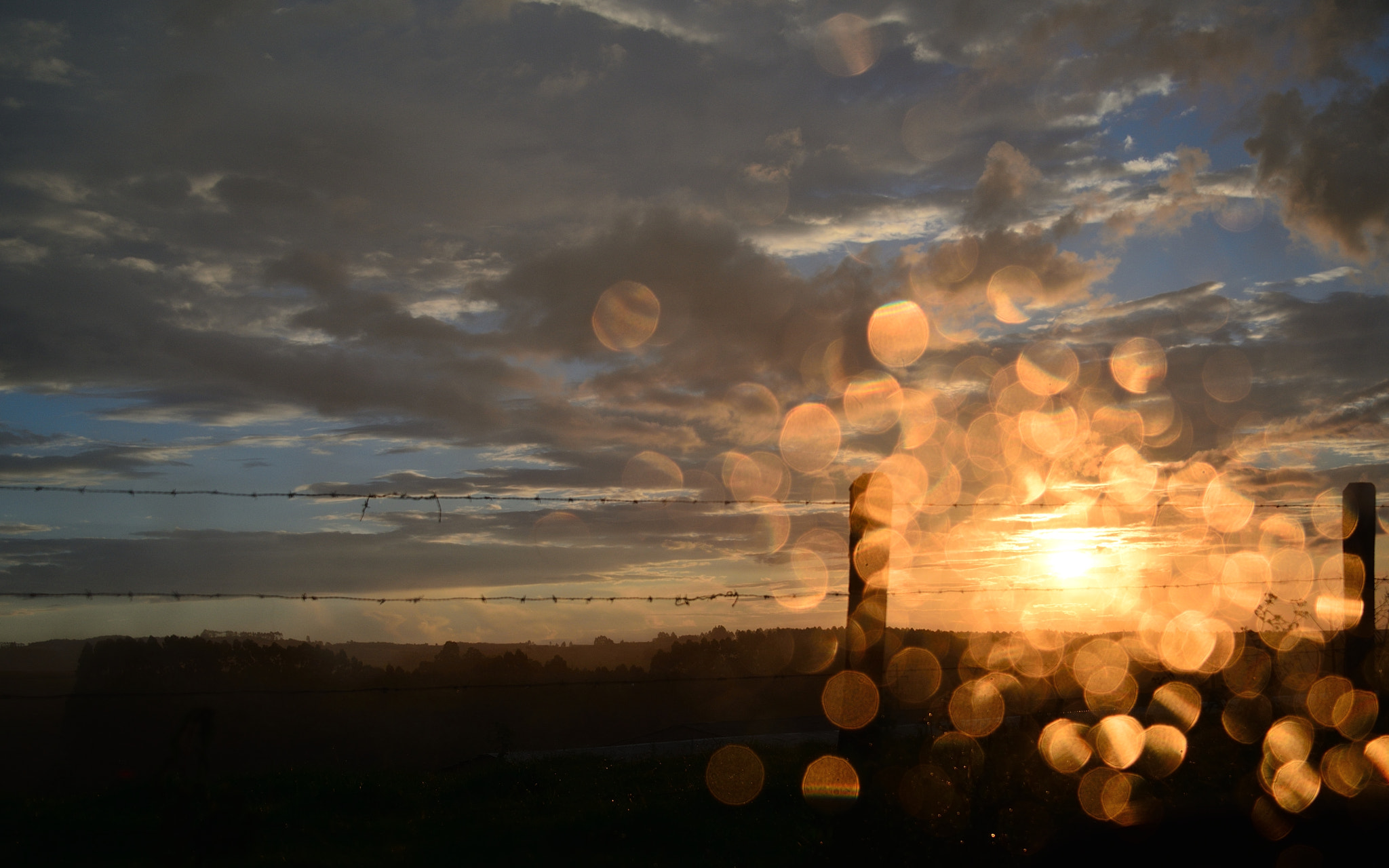 Nikon D610 sample photo. Drops in car window! photography