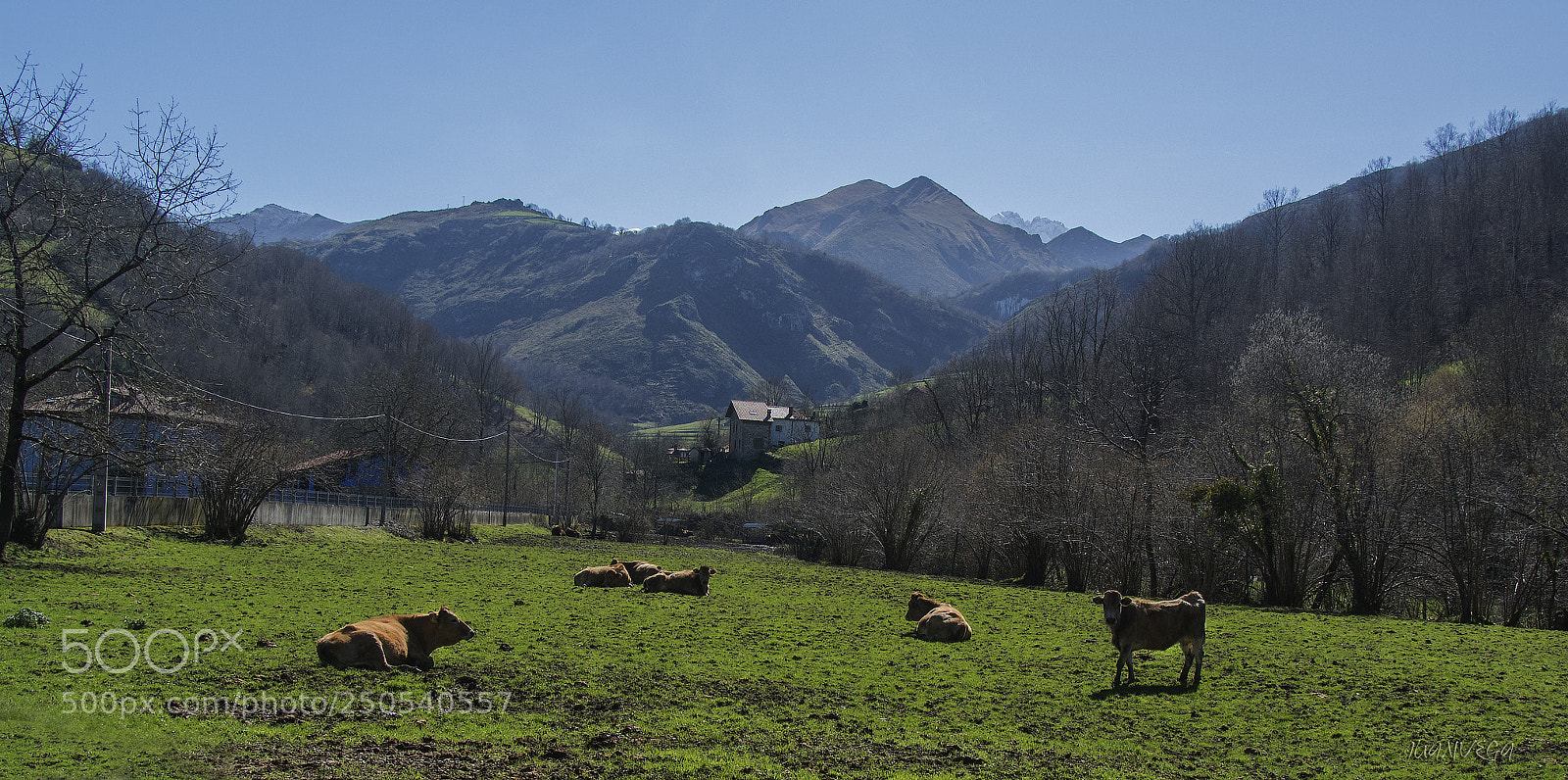 Nikon 1 V1 sample photo. Mestas de con photography