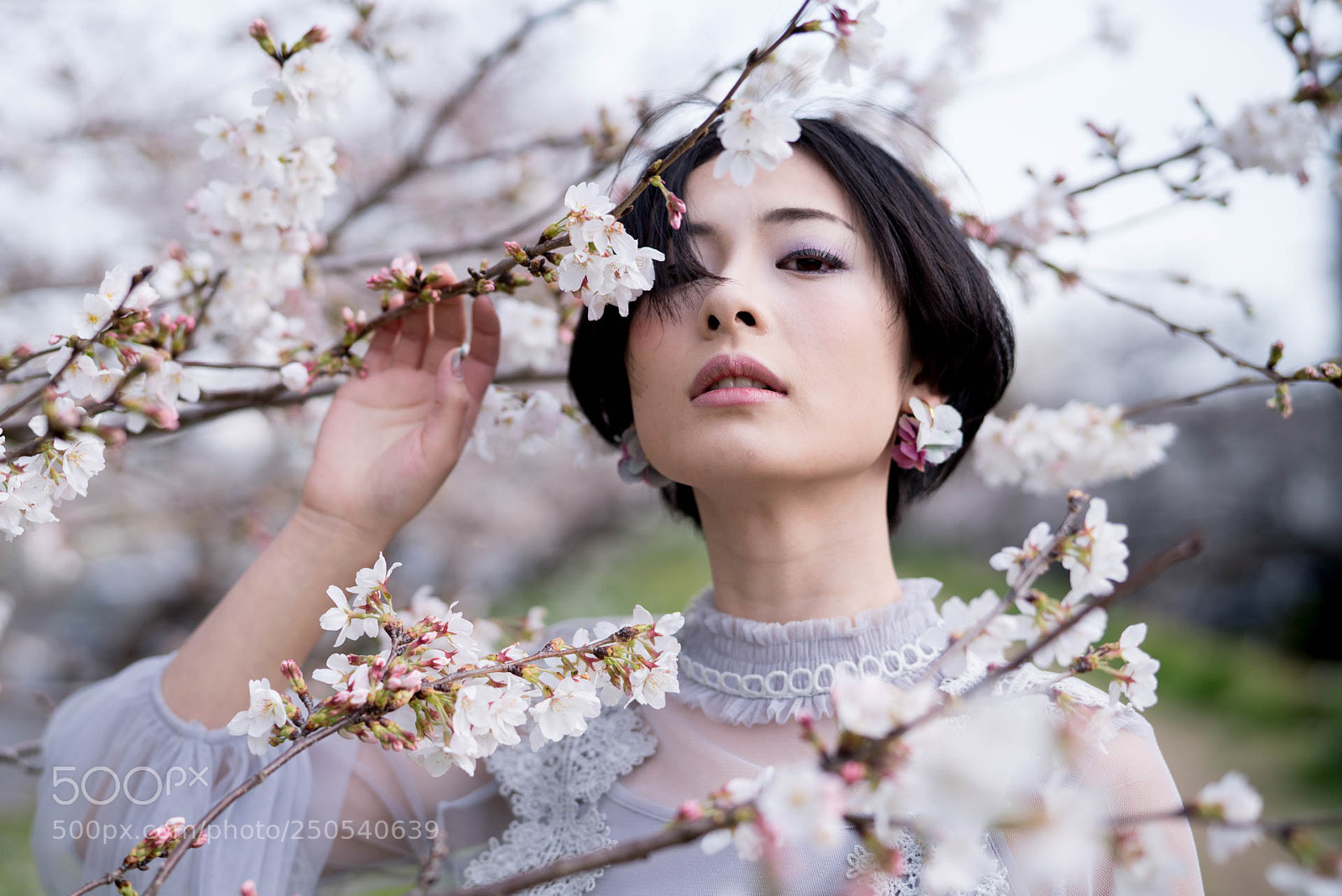 Sony a7R III sample photo. 20180324-1 photography