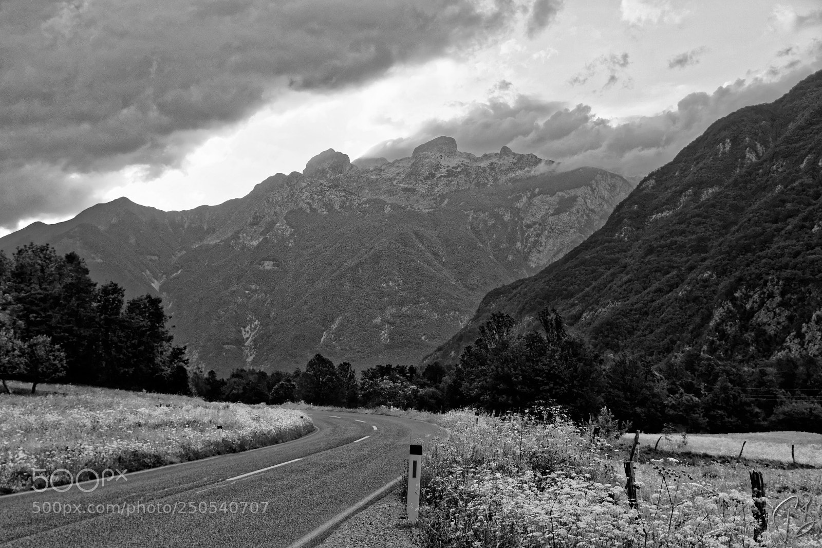 Canon EOS 60D sample photo. The road taken photography