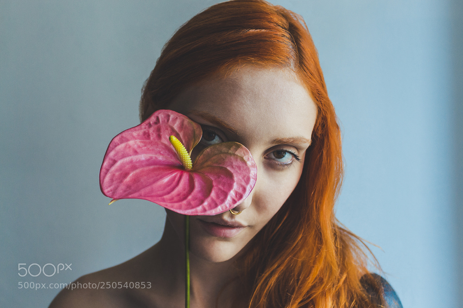 Canon EOS 700D (EOS Rebel T5i / EOS Kiss X7i) sample photo. Pink anthurium photography