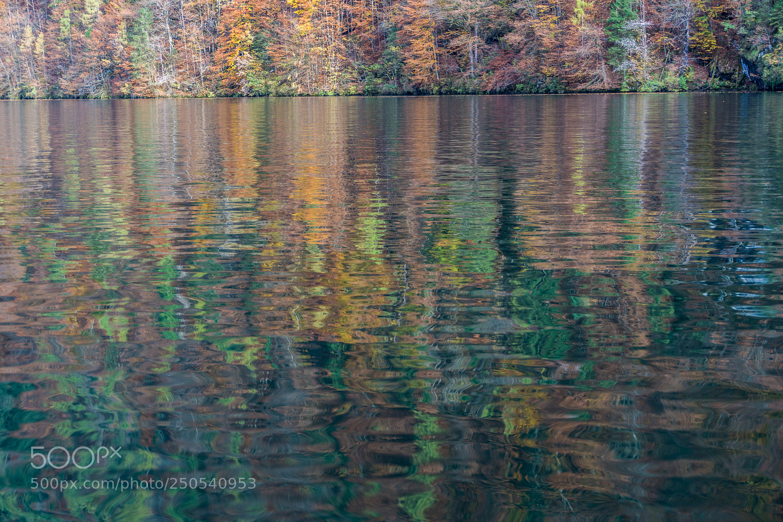 Sony a6000 sample photo. Autumn colors of the photography
