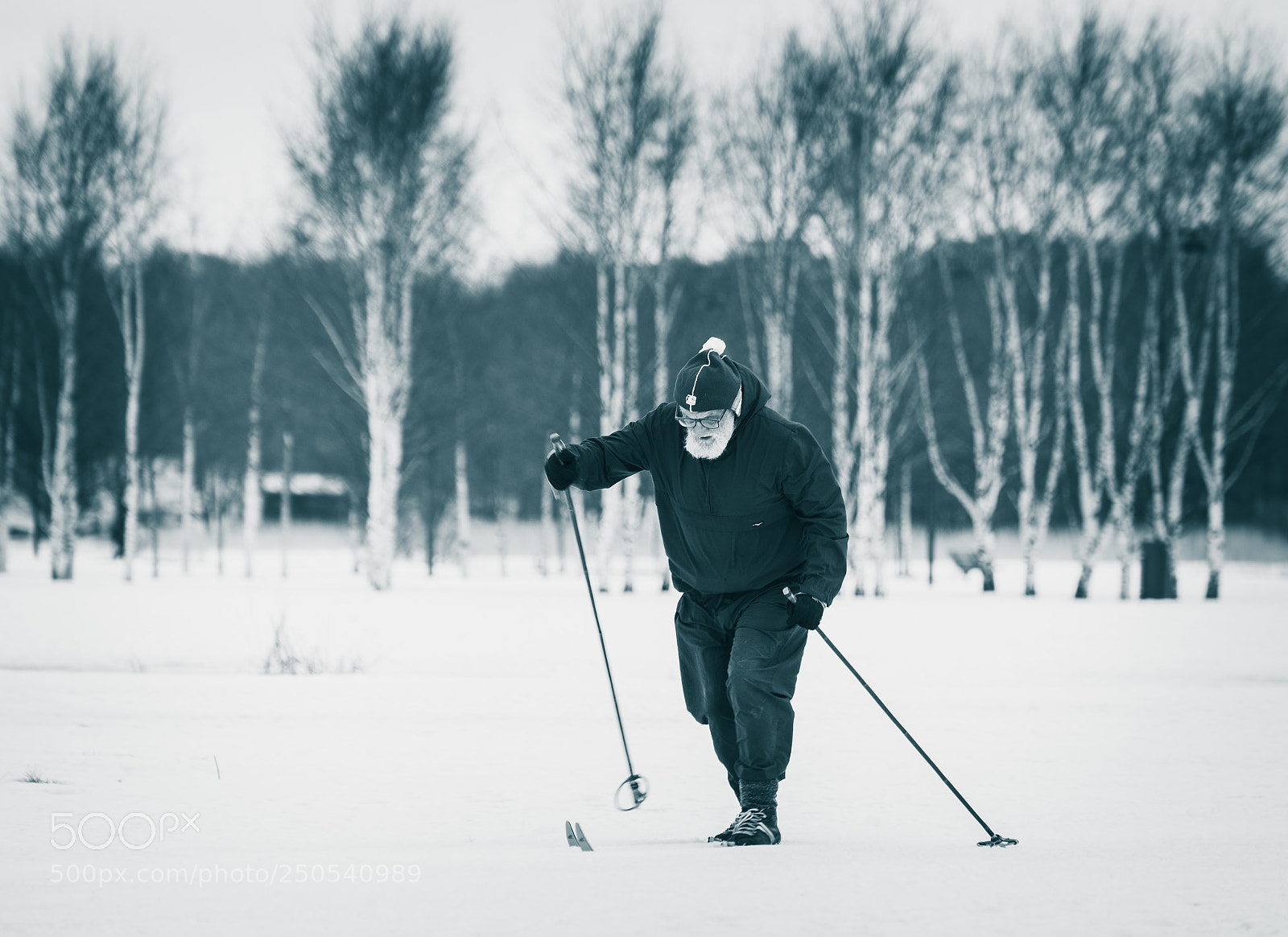 Nikon D610 sample photo. Cross country skiing photography