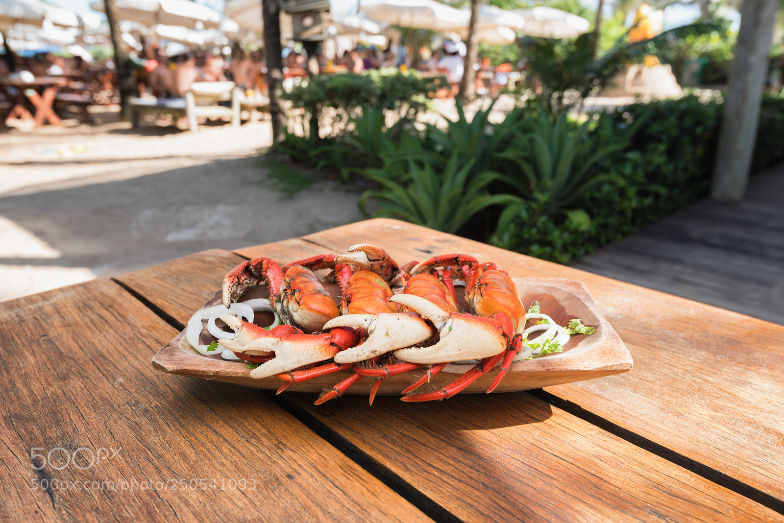 Nikon D810 sample photo. Untitled photography