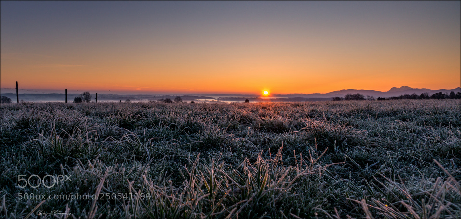 Sony a6000 sample photo. Frost and sunrise photography