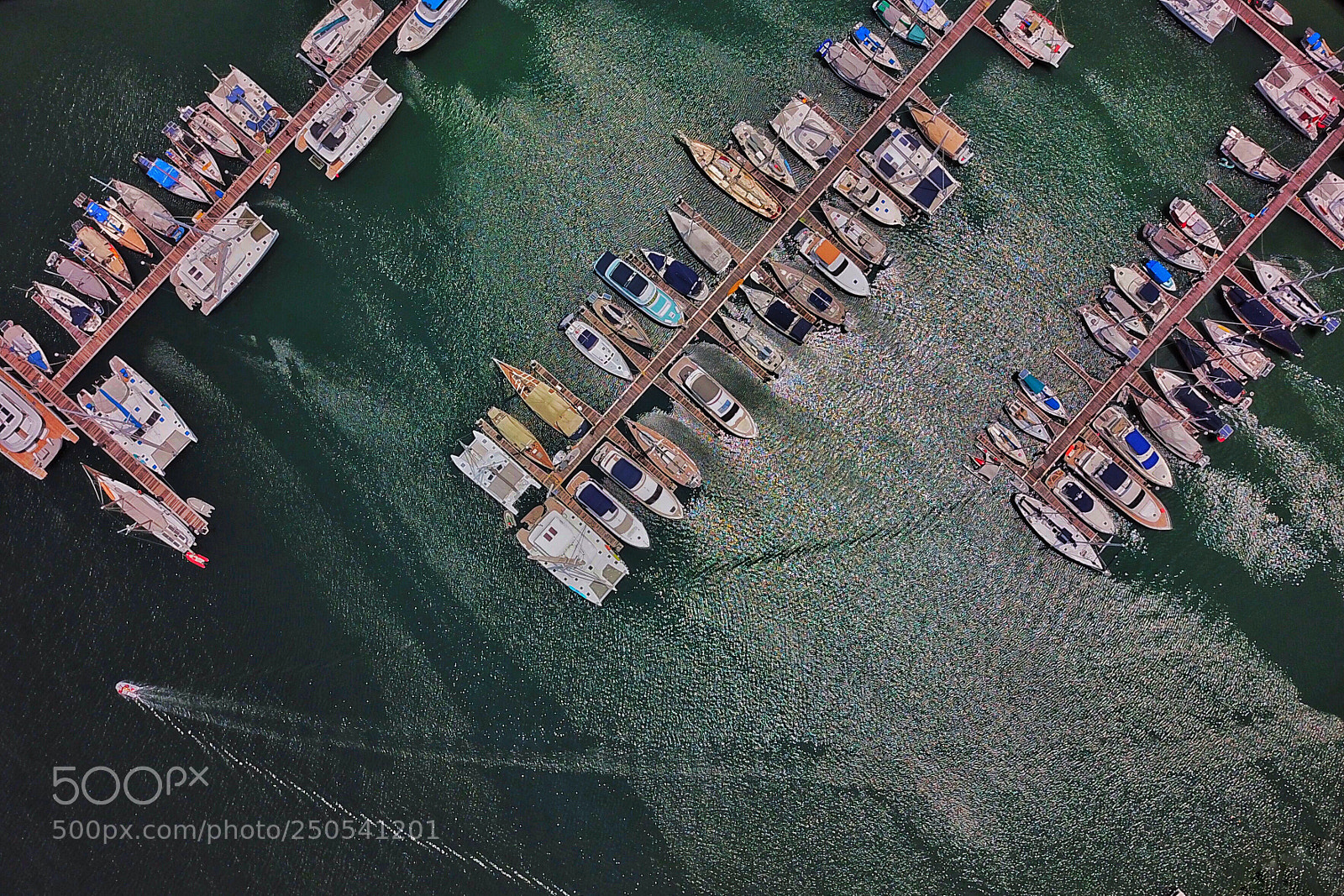 DJI FC220 sample photo. Gull’s view photography
