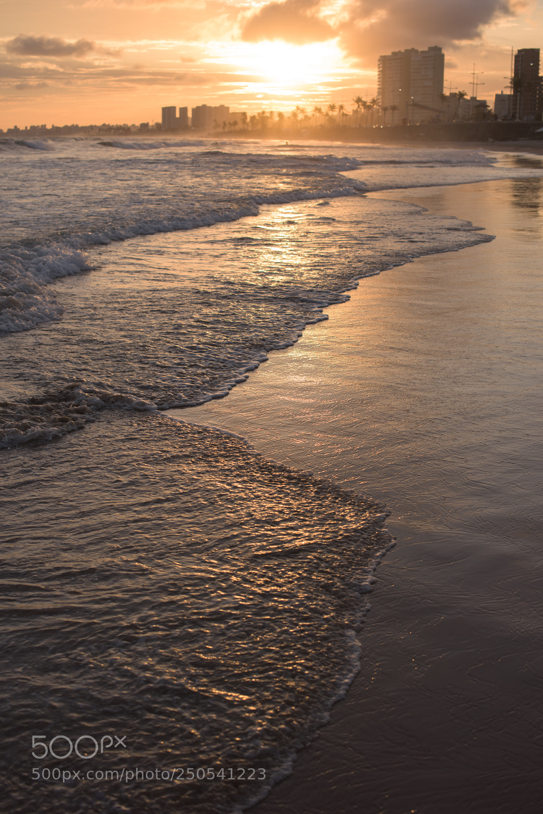 Nikon D810 sample photo. Untitled photography