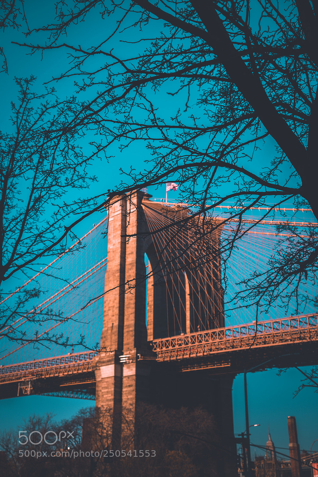 Sony a7R II sample photo. Blur brooklyn bridge photography