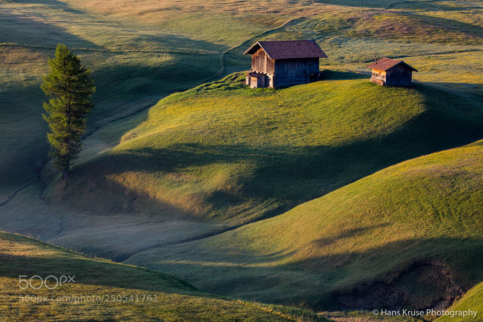 Canon EOS 5DS R sample photo. Morning light in alpe photography