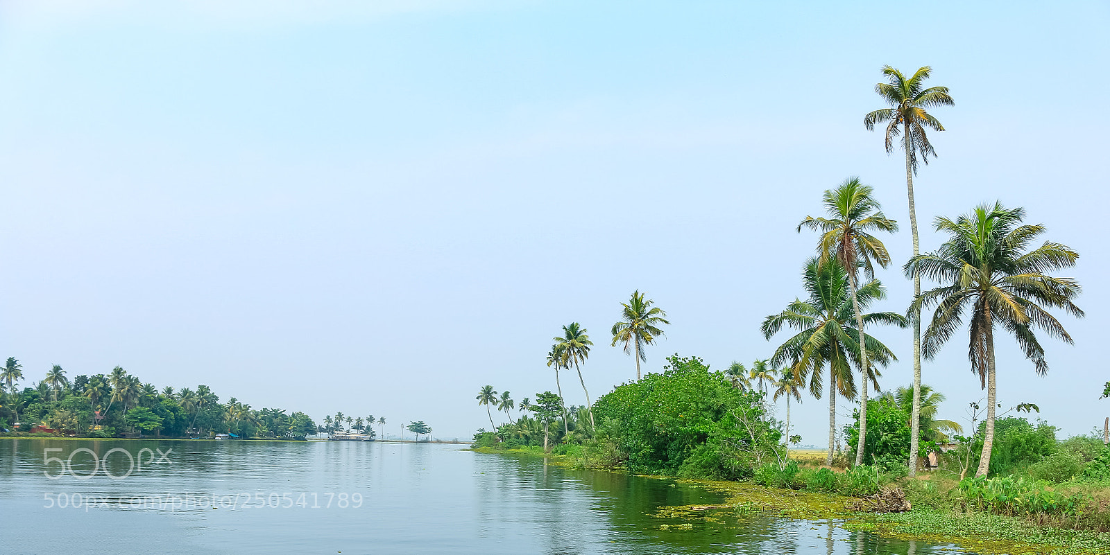 Canon EOS 70D sample photo. Kuttanad photography