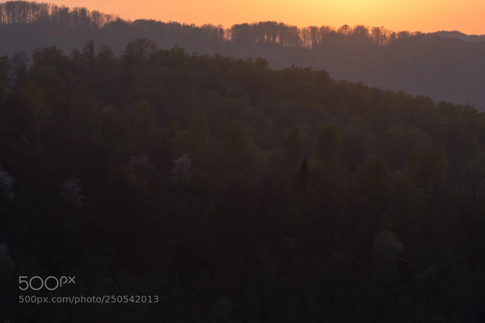 Nikon D500 sample photo. **** photography
