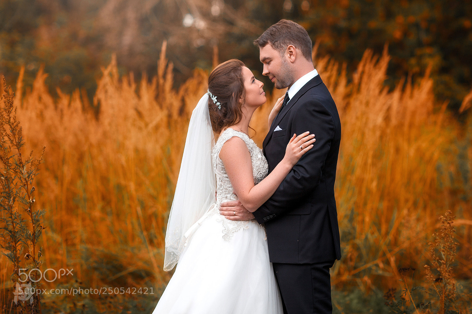 Canon EOS 5D Mark II sample photo. Свадьба photography
