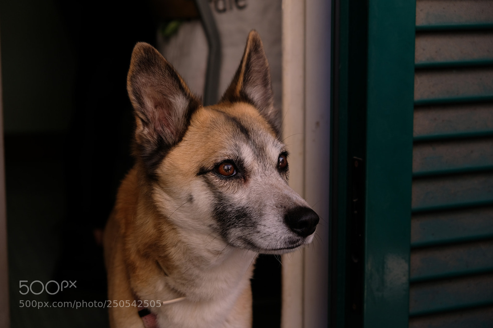 Fujifilm X-T20 sample photo. Untitled photography