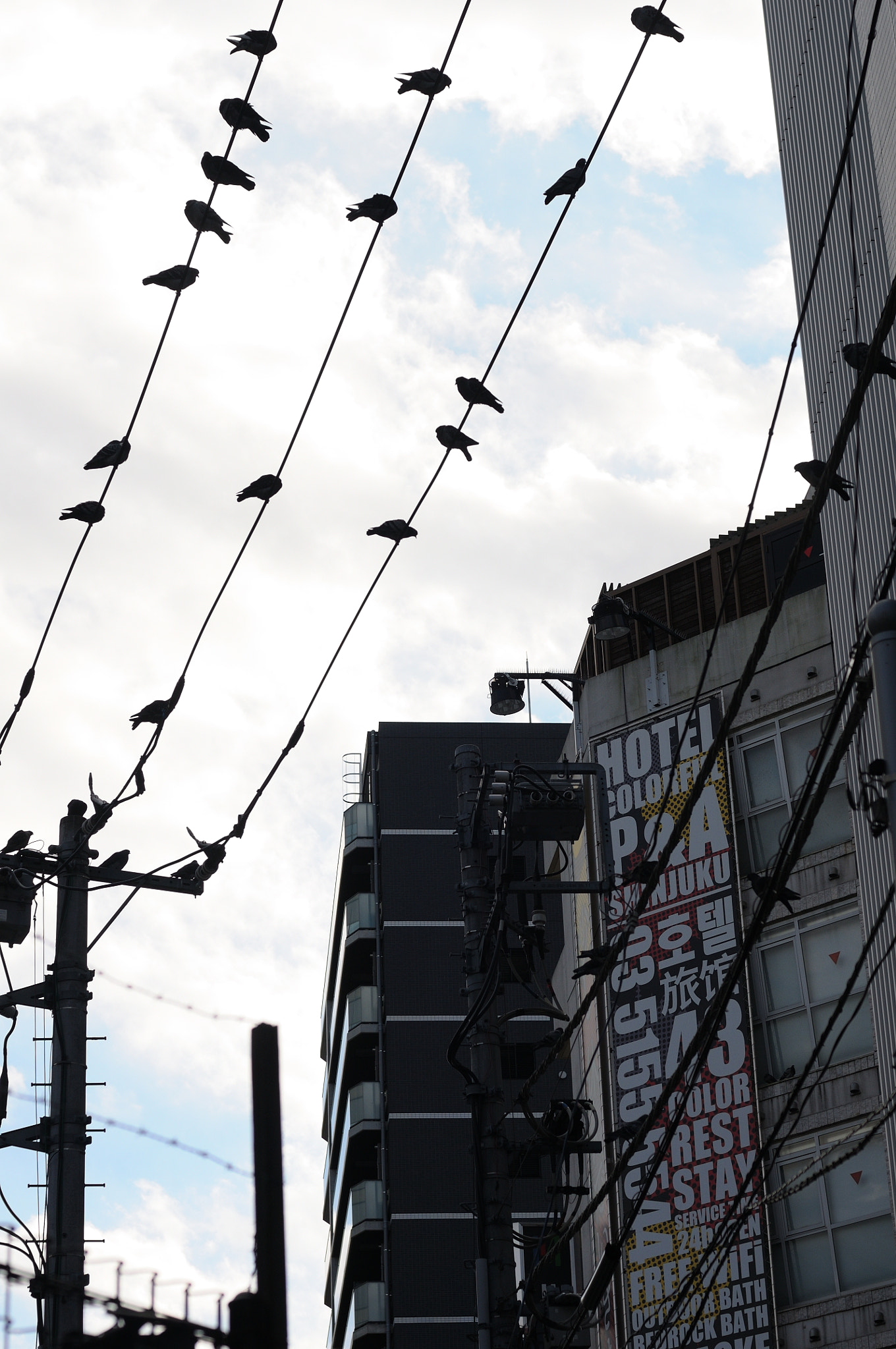 Nikon D300 + Nikon AF Nikkor 50mm F1.4D sample photo. Shinjuku, tokyo photography