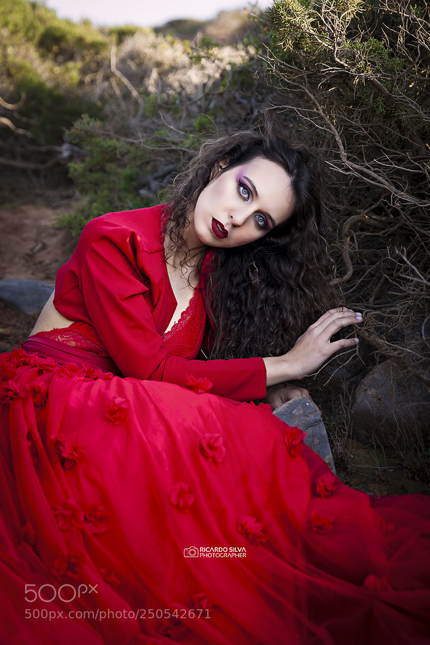 Canon EOS 5D Mark II sample photo. The lady in a photography