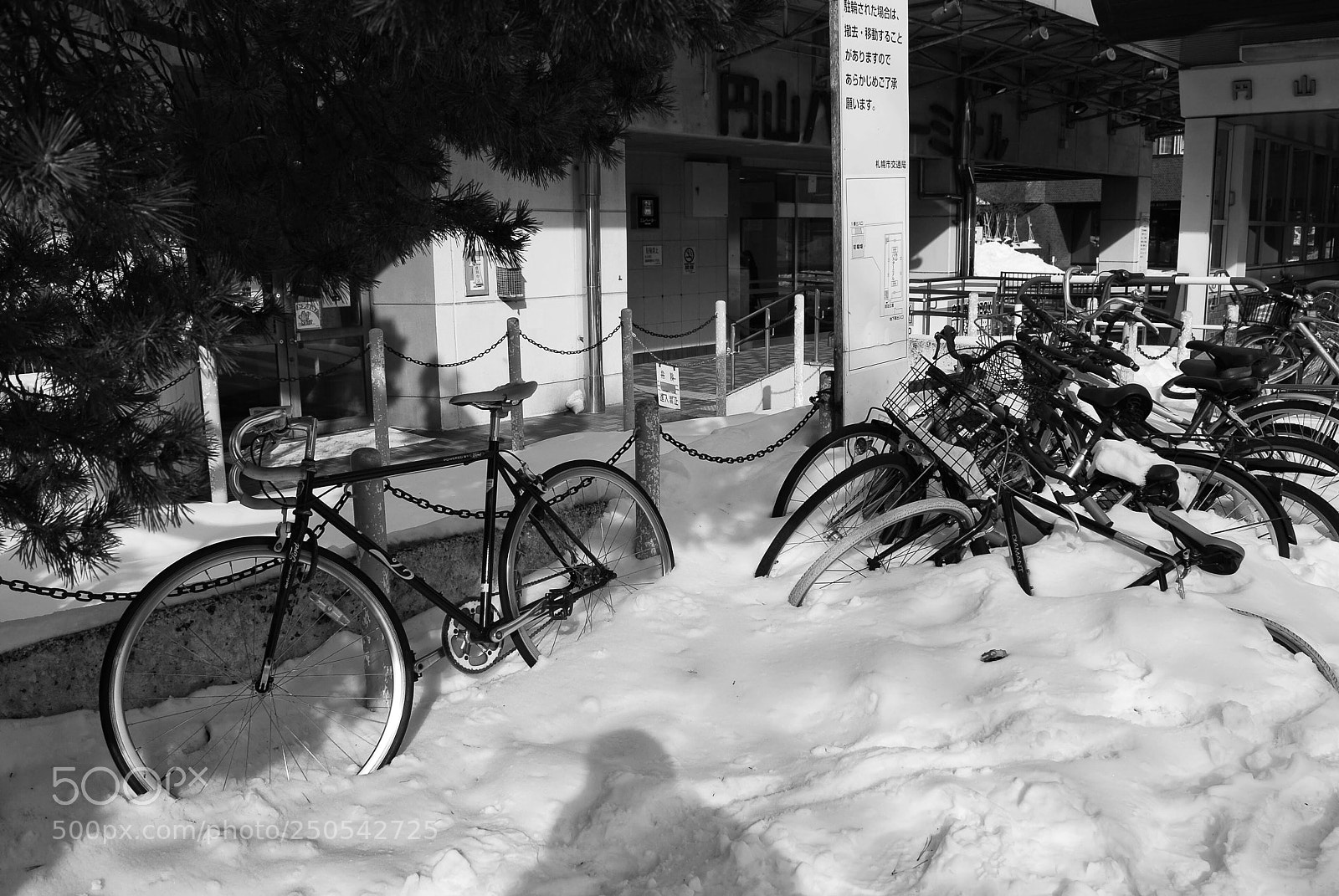 Nikon D200 sample photo. Hokkaido, japan photography