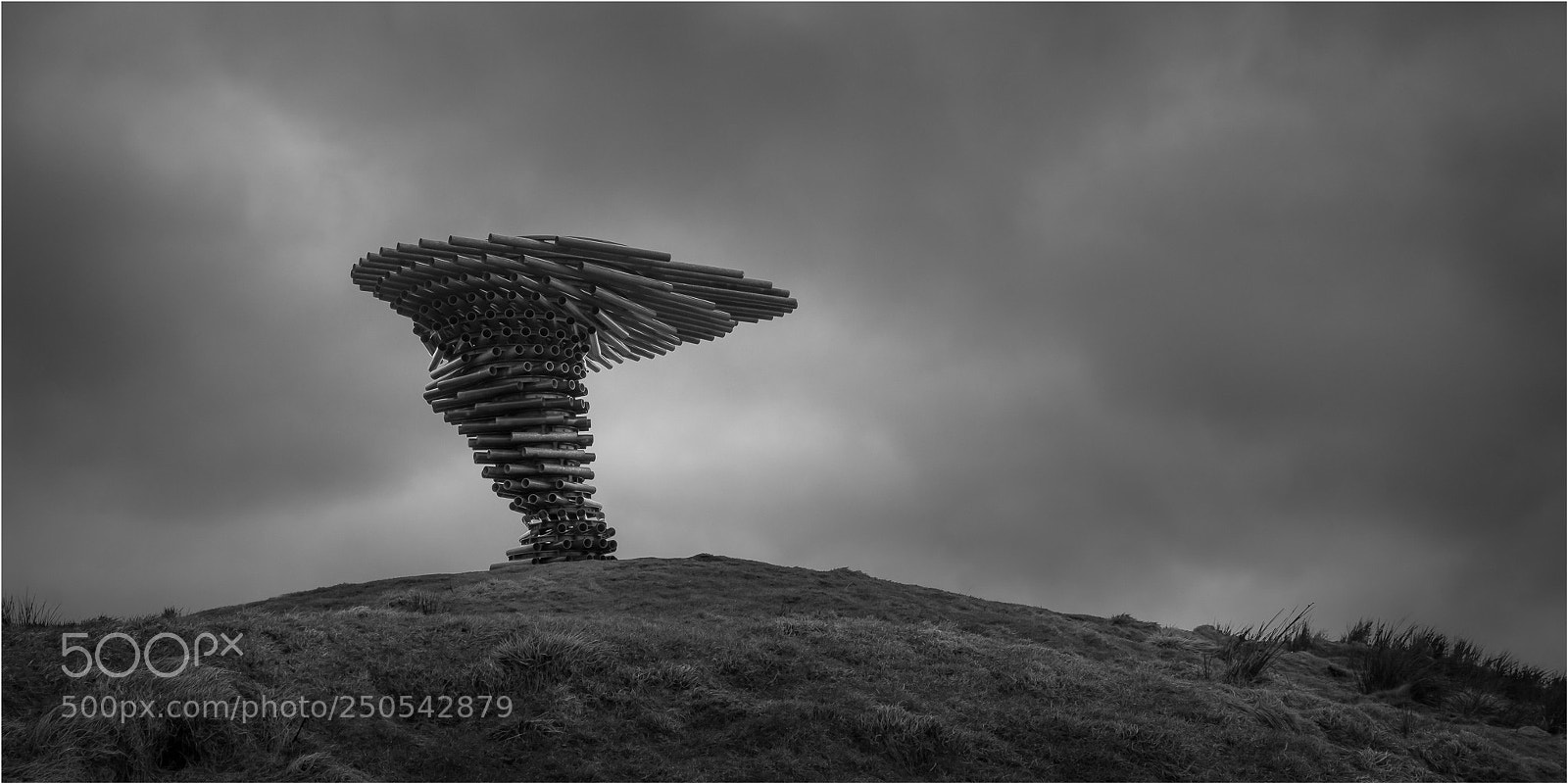 Canon EOS 5D Mark IV sample photo. Singing ringing tree photography