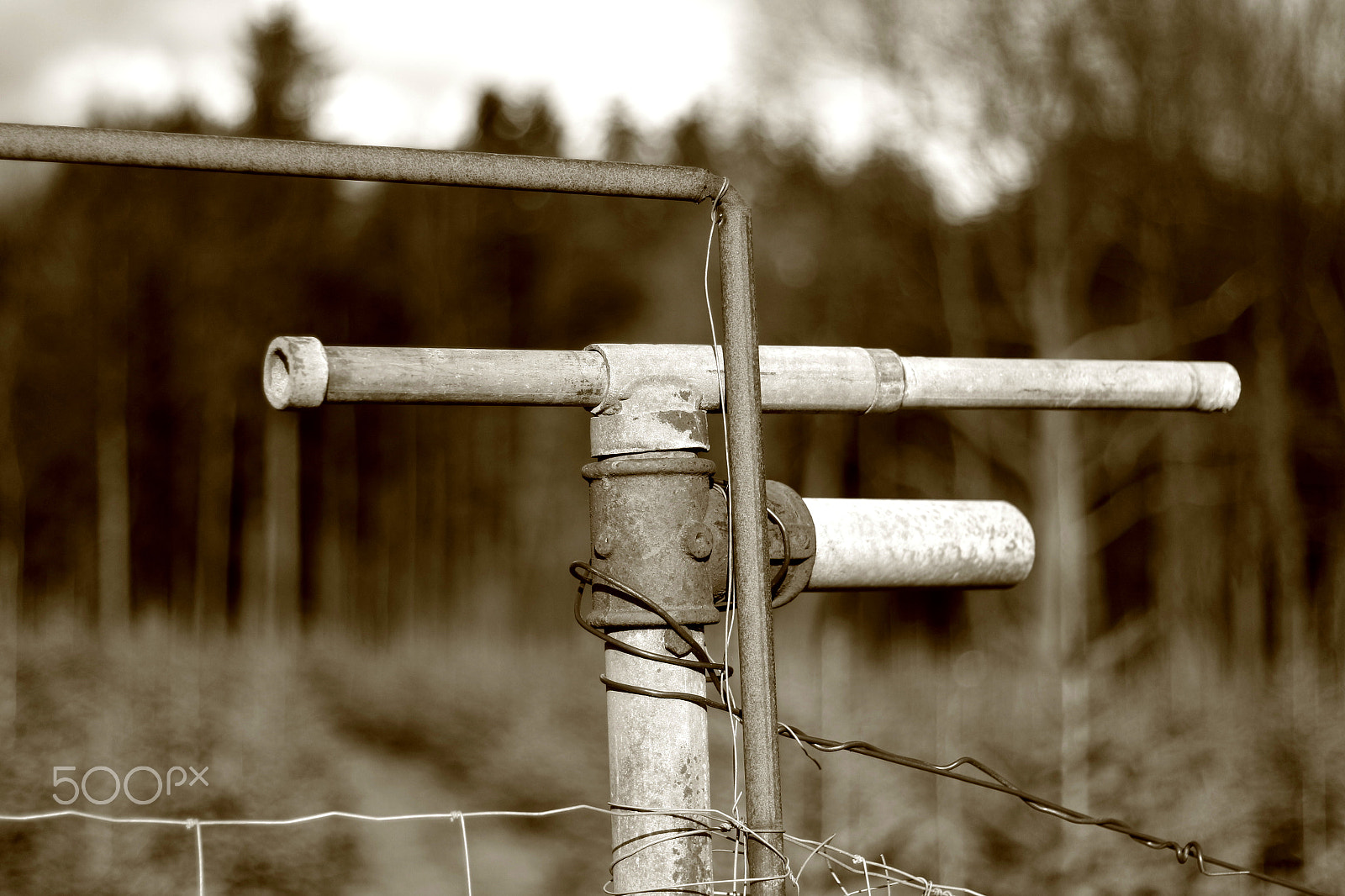 Canon EOS 700D (EOS Rebel T5i / EOS Kiss X7i) + Canon EF 50mm F1.8 II sample photo. Pipe contraption i photography
