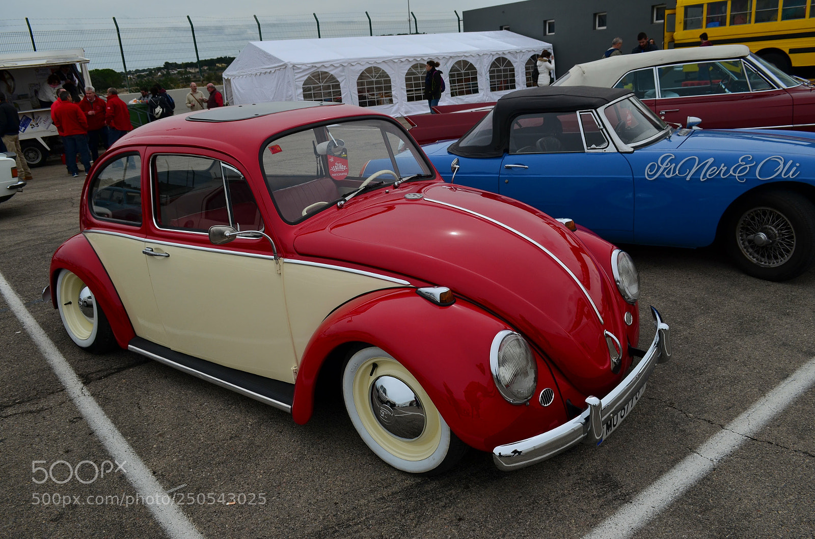 Nikon D5100 sample photo. Escarabajo photography
