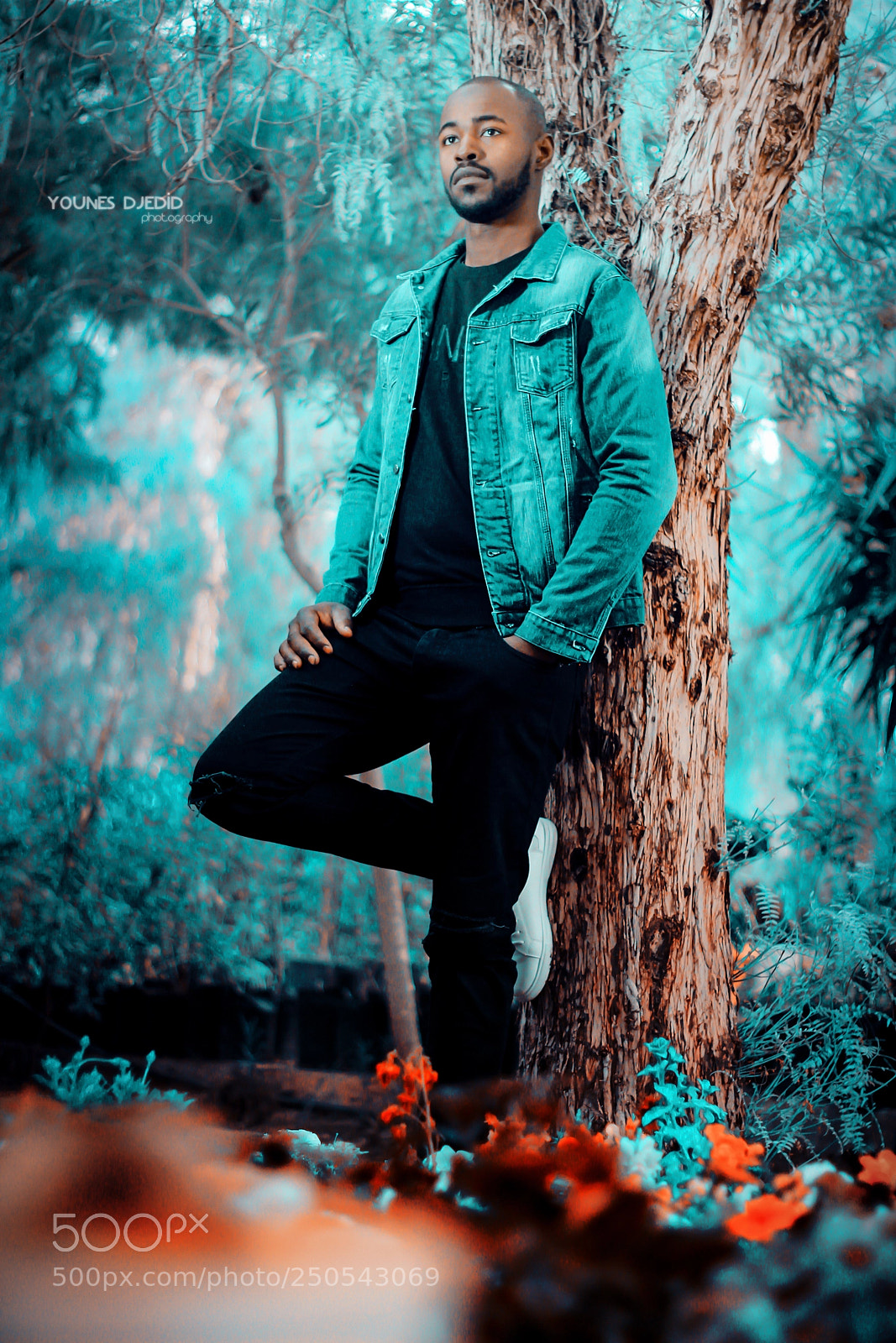 Canon EOS 60D sample photo. Younes djediid photographer photography
