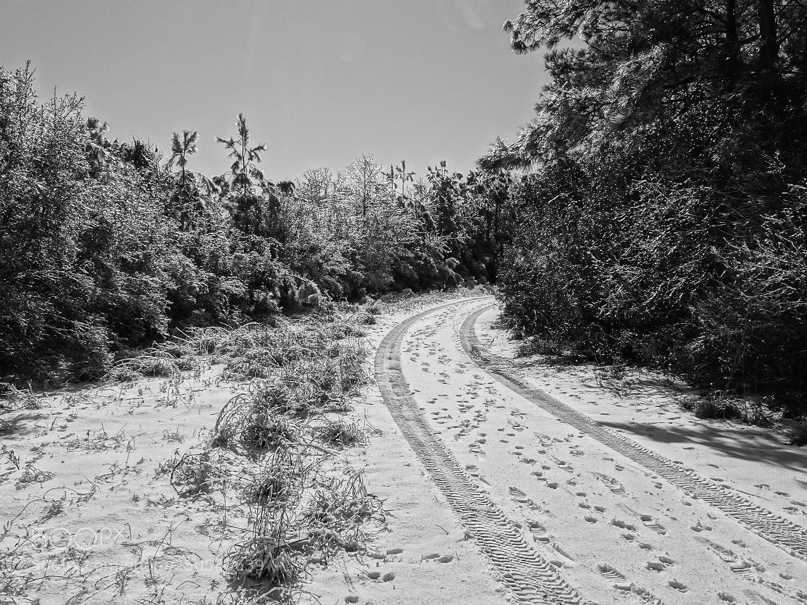 Sony Cyber-shot DSC-HX90V sample photo. Last snow of winter? photography