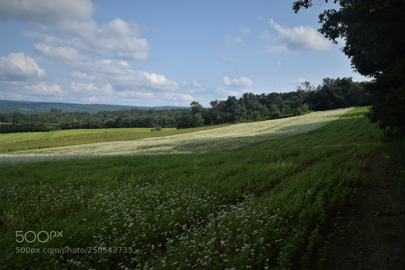 Nikon D3300 sample photo. Shade and shadow photography