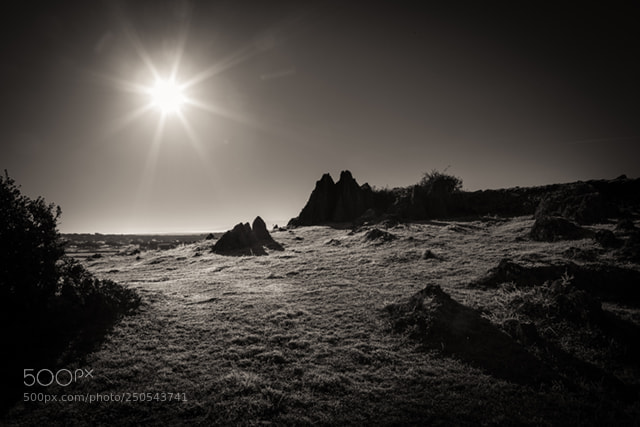 Canon EOS 5D Mark II sample photo. Moon scene photography