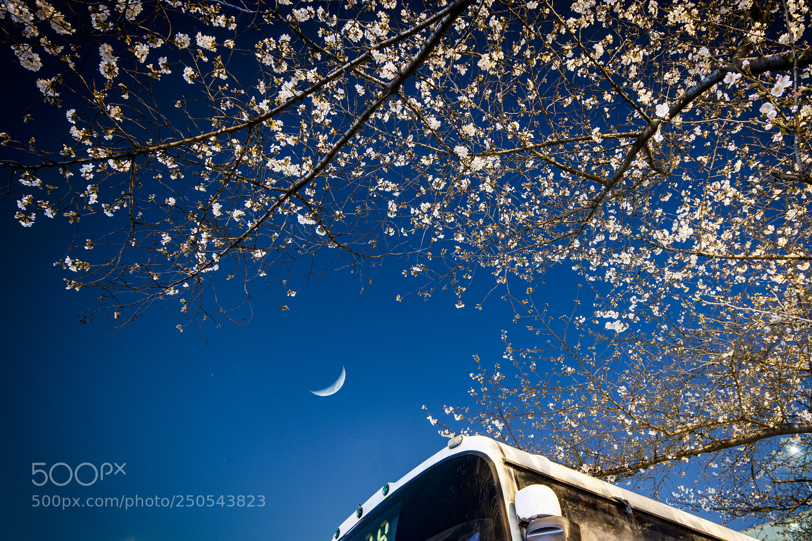 Nikon D90 sample photo. Bus station filled with photography