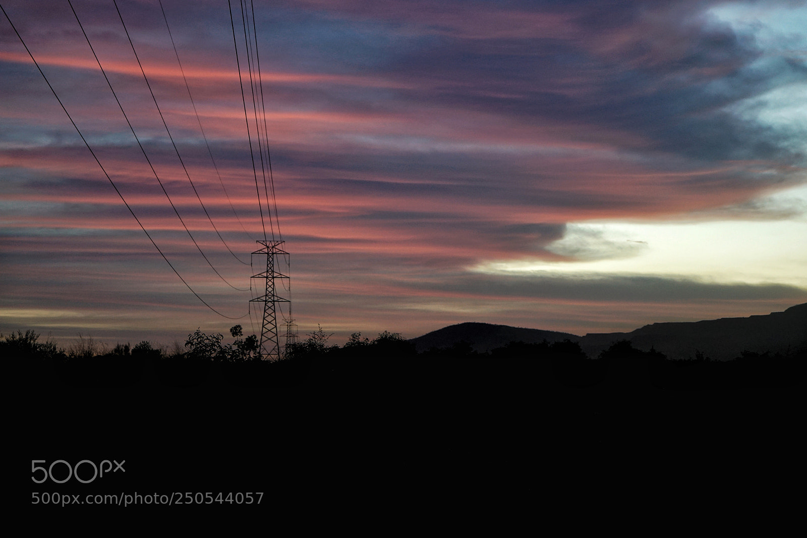 Sony a7R II sample photo. Have a colorful day :) photography