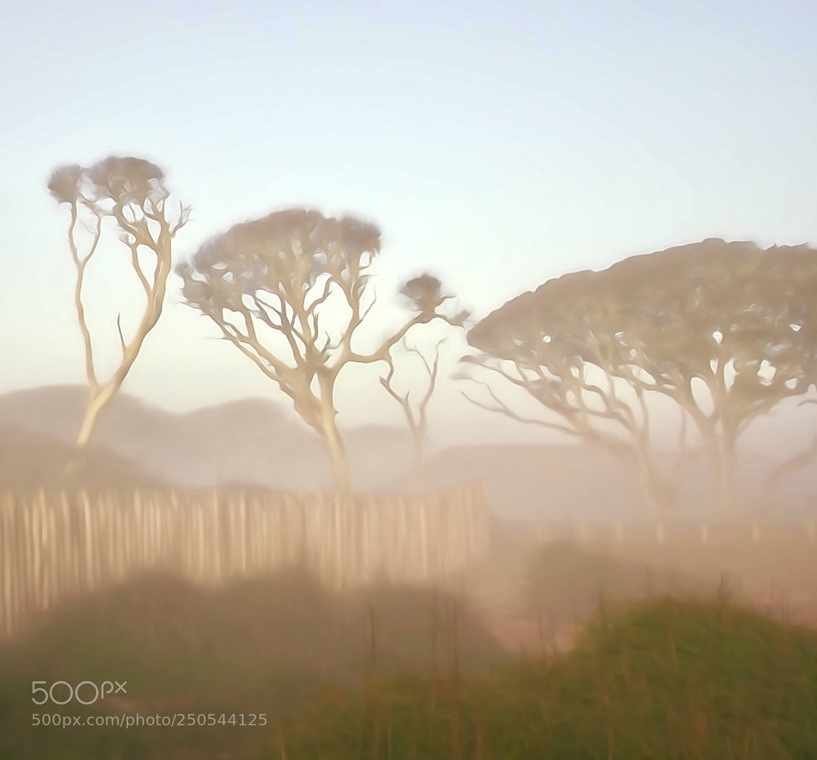 Sony Cyber-shot DSC-HX90V sample photo. One foggy morning photography