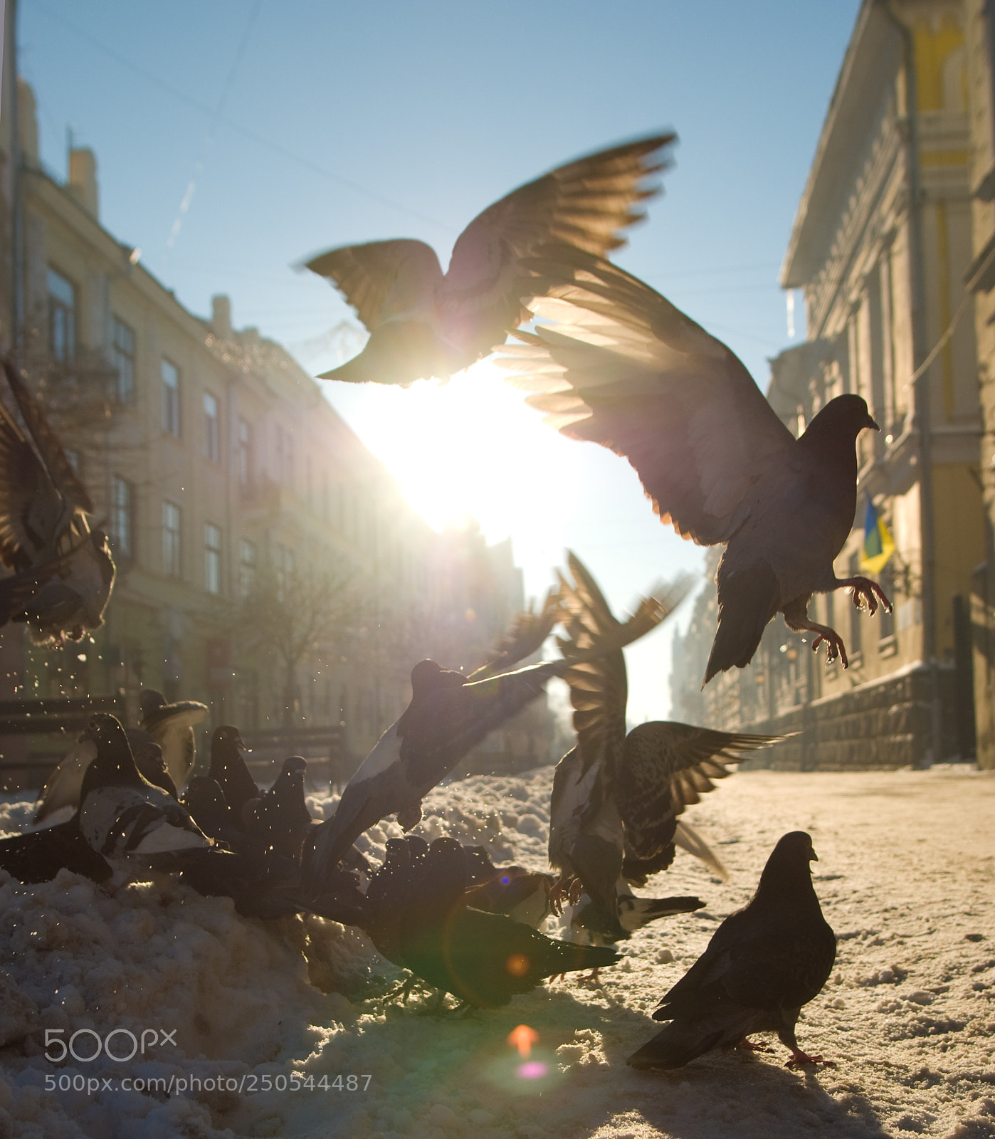 Nikon D80 sample photo. Winter morning photography