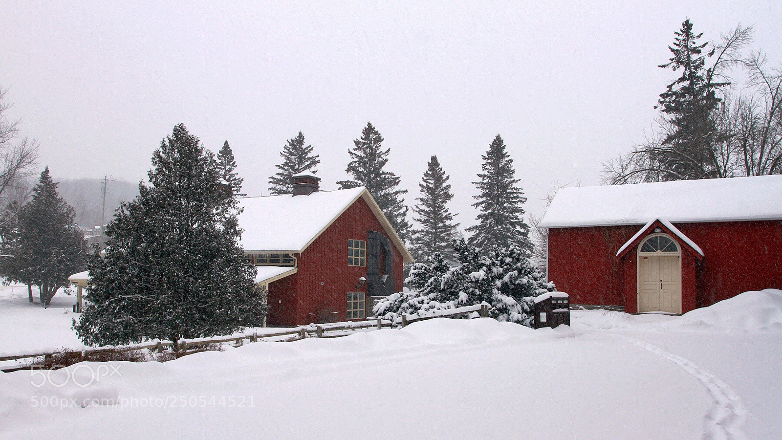 Canon EOS 7D sample photo. Winter wonderland photography