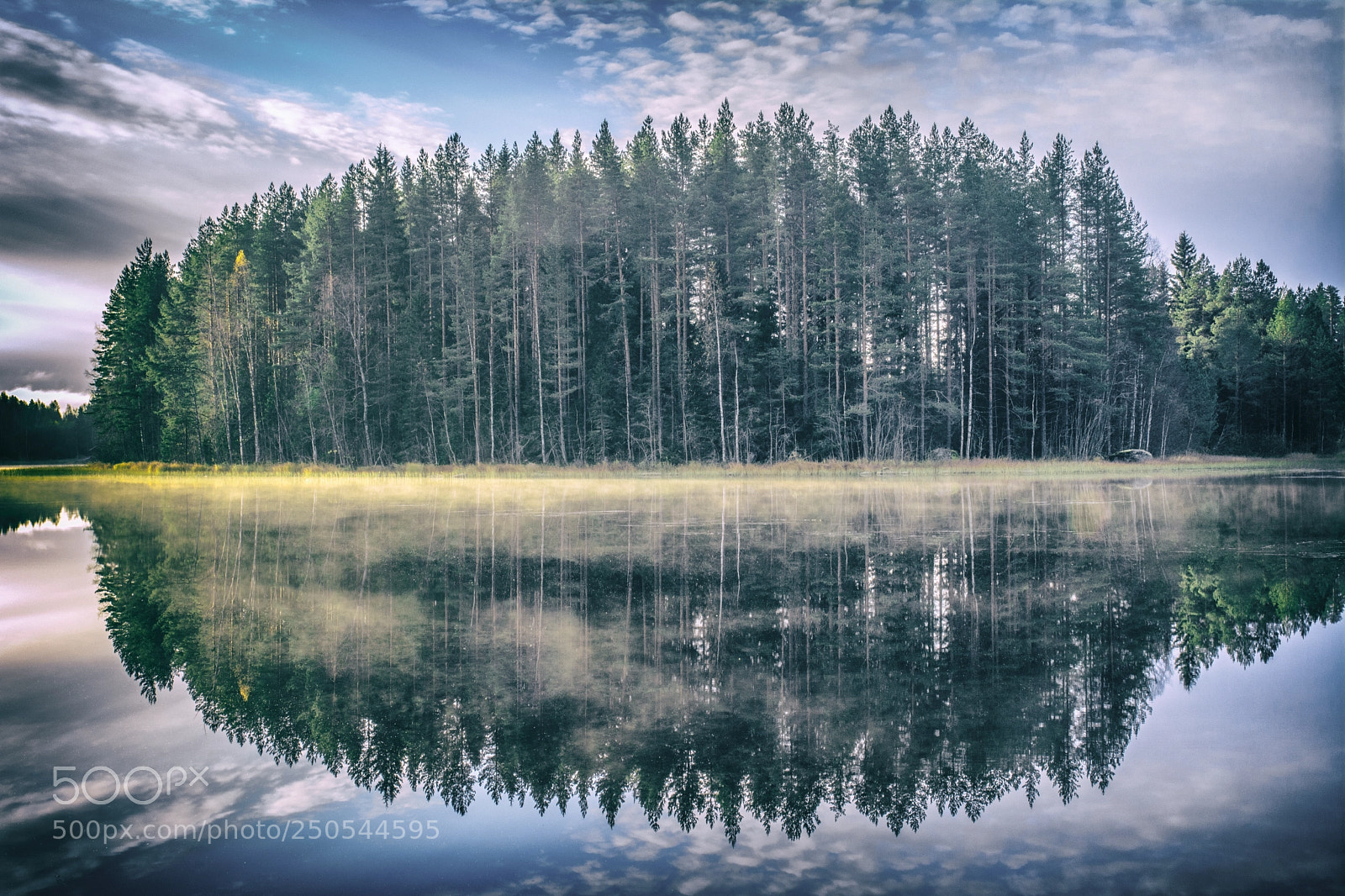 Nikon D7100 sample photo. Misty morning photography