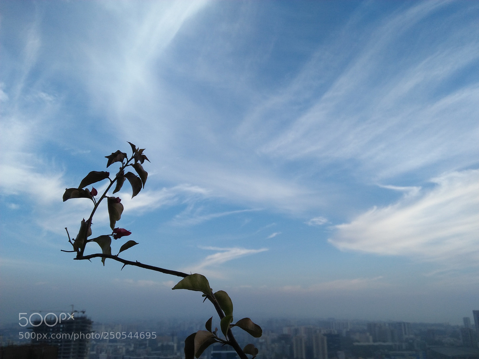 OPPO A37fw-International sample photo. To be up in photography