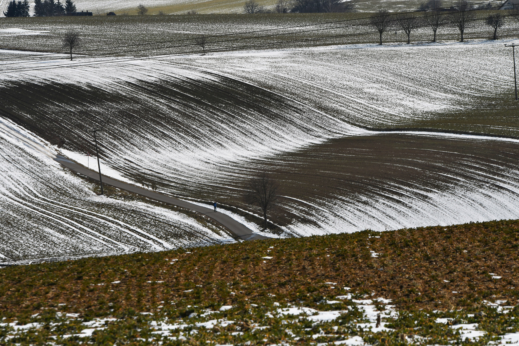 Nikon D500 + Sigma 70-200mm F2.8 EX DG OS HSM sample photo. The last snow photography