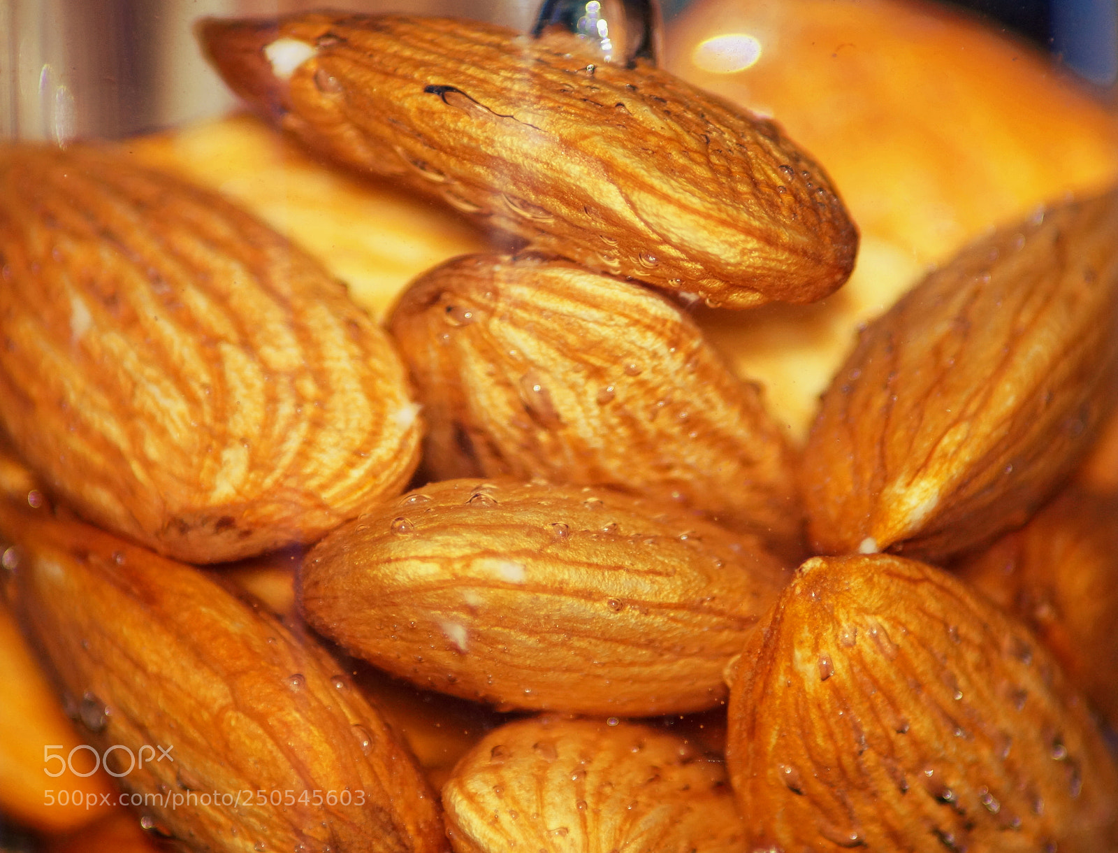 Sony SLT-A58 sample photo. Badam photography