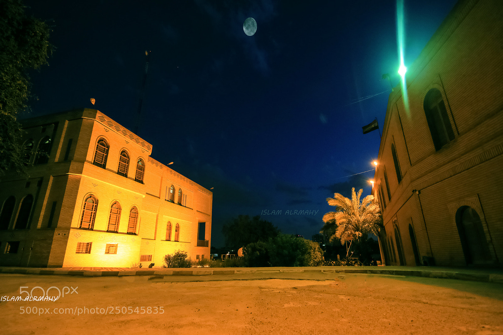 Canon EOS 70D sample photo. Untitled photography