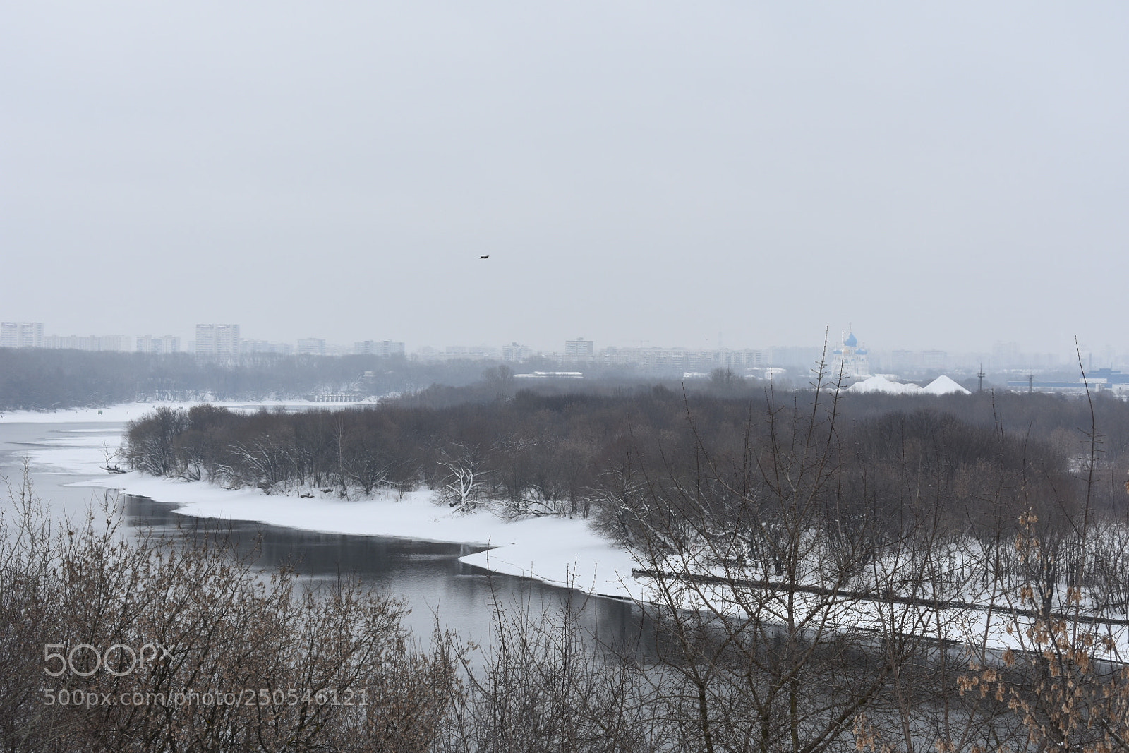 Nikon D3400 sample photo. Sity park photography