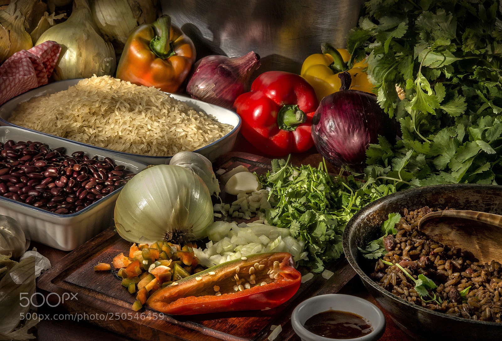 Nikon D800E sample photo. Gallo pinto, en costa photography
