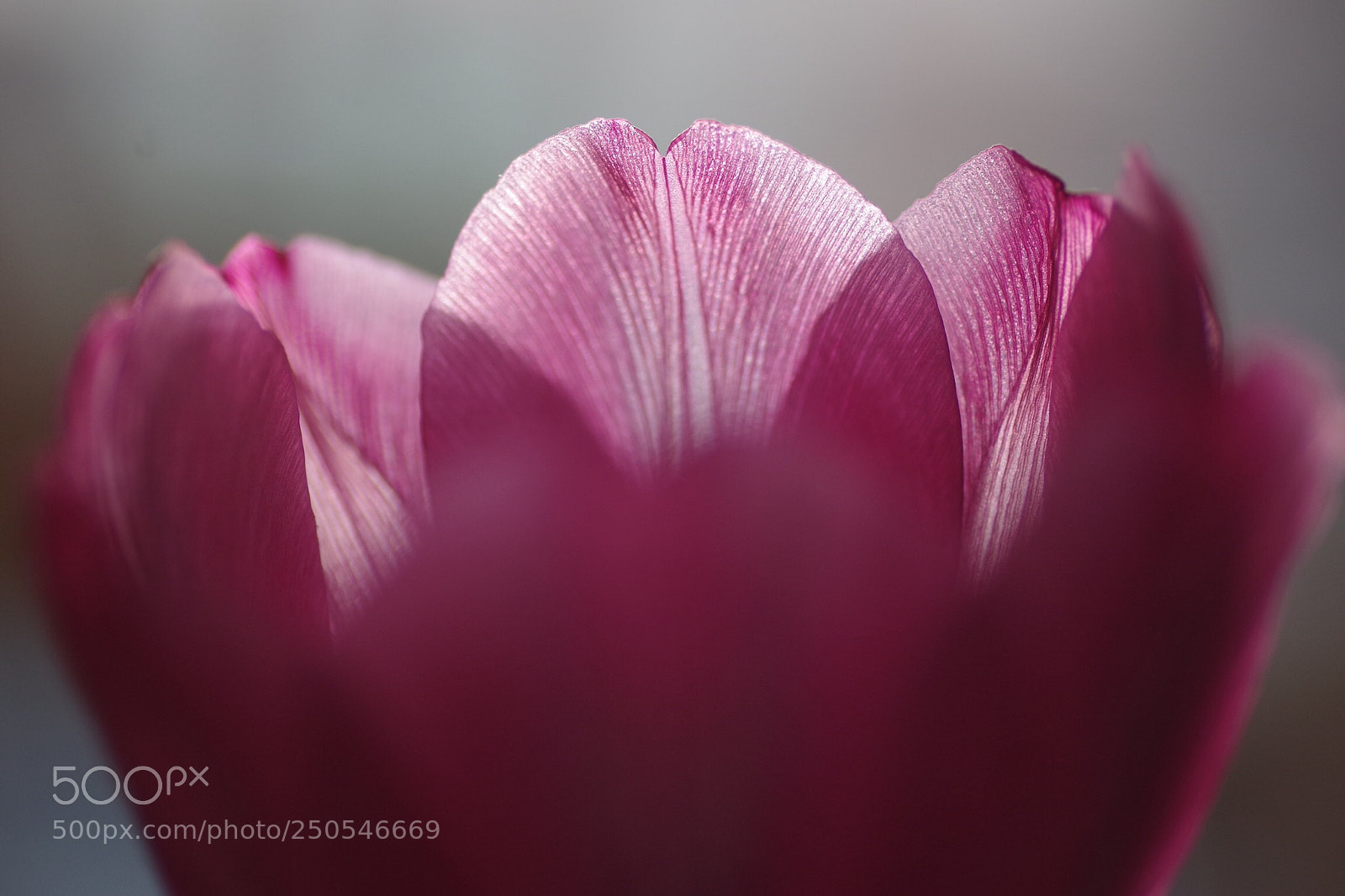 Pentax K-30 sample photo. Highlight photography