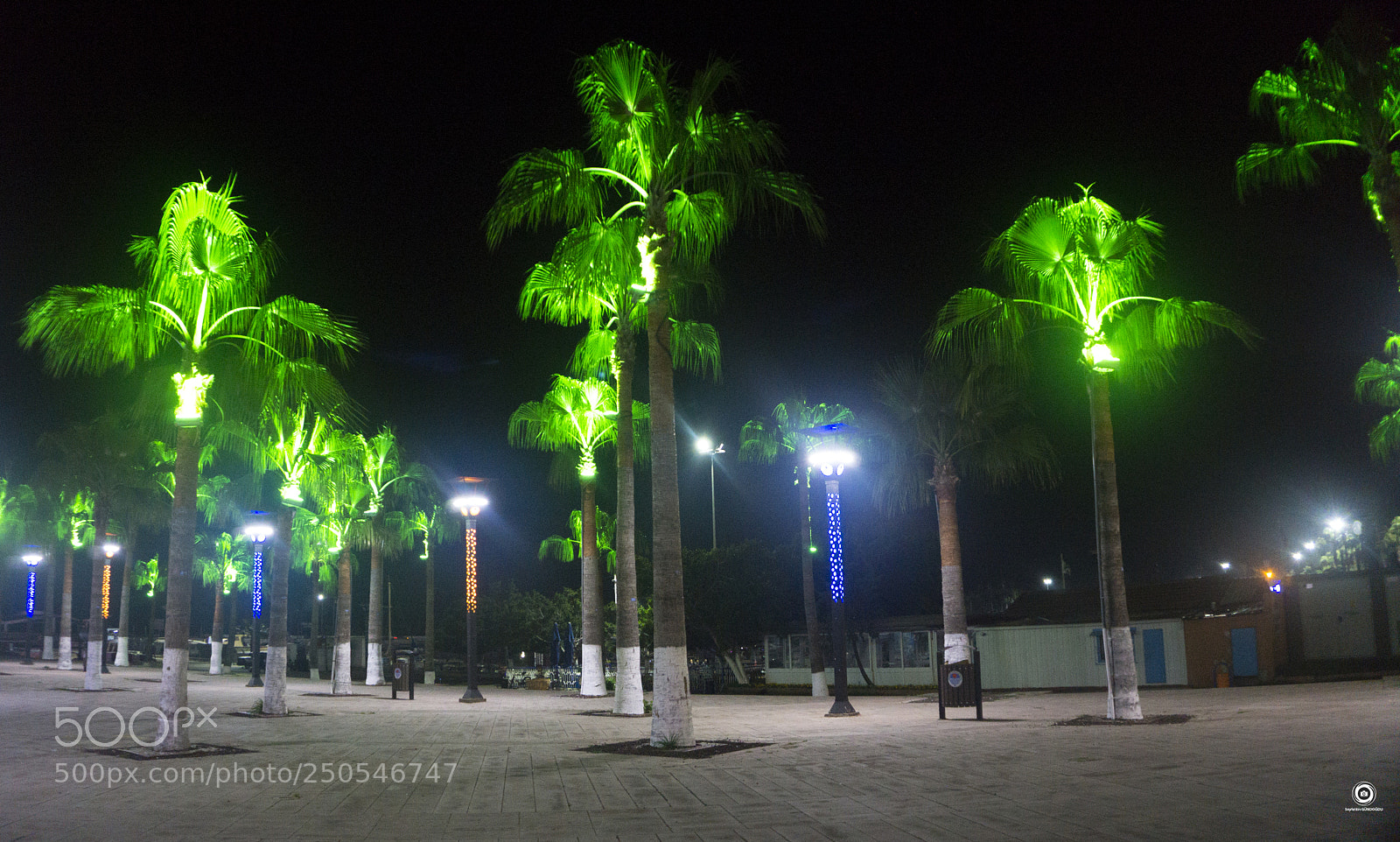 Sony a6000 sample photo. Mersin - palmcity photography