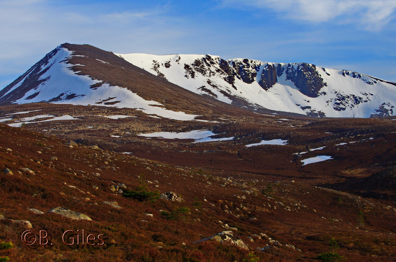 Pentax smc DA* 60-250mm F4.0 ED (IF) SDM sample photo. Spring cairngorms national park photography