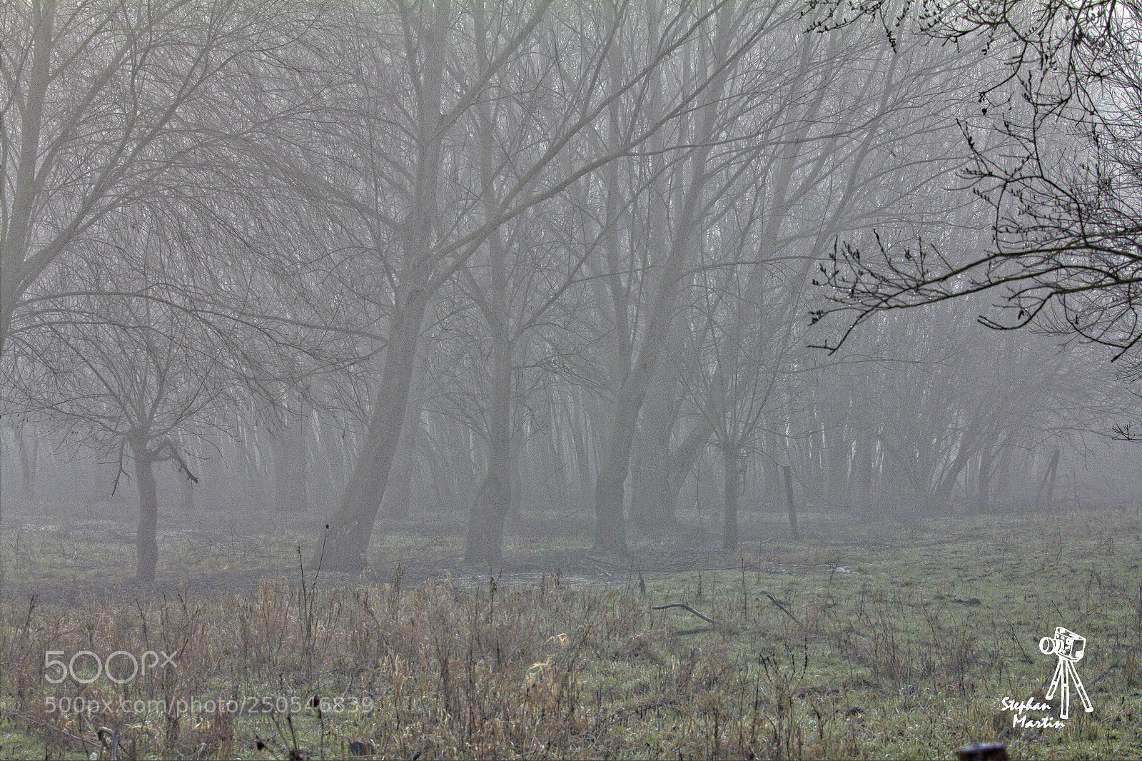 Canon EOS 60D sample photo. Ranschgraben im nebel photography