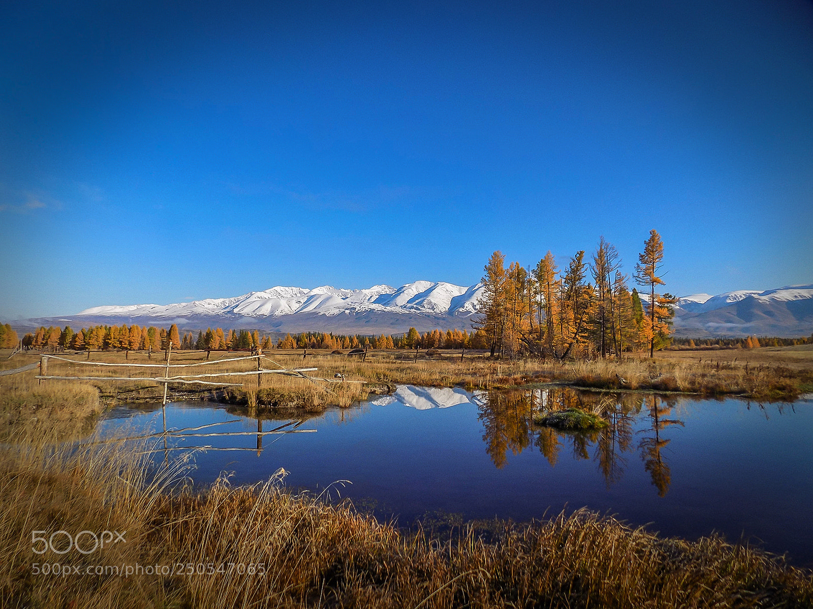 Nikon COOLPIX L330 sample photo. Morning in kurai steppe photography