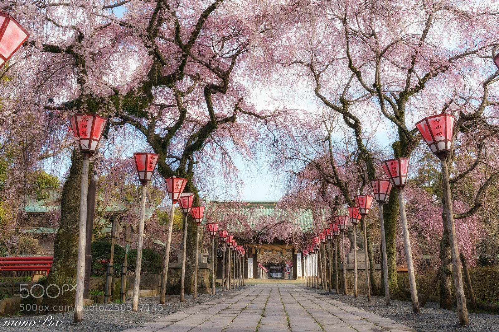Sony a7R III sample photo. Road approaching a shrine photography