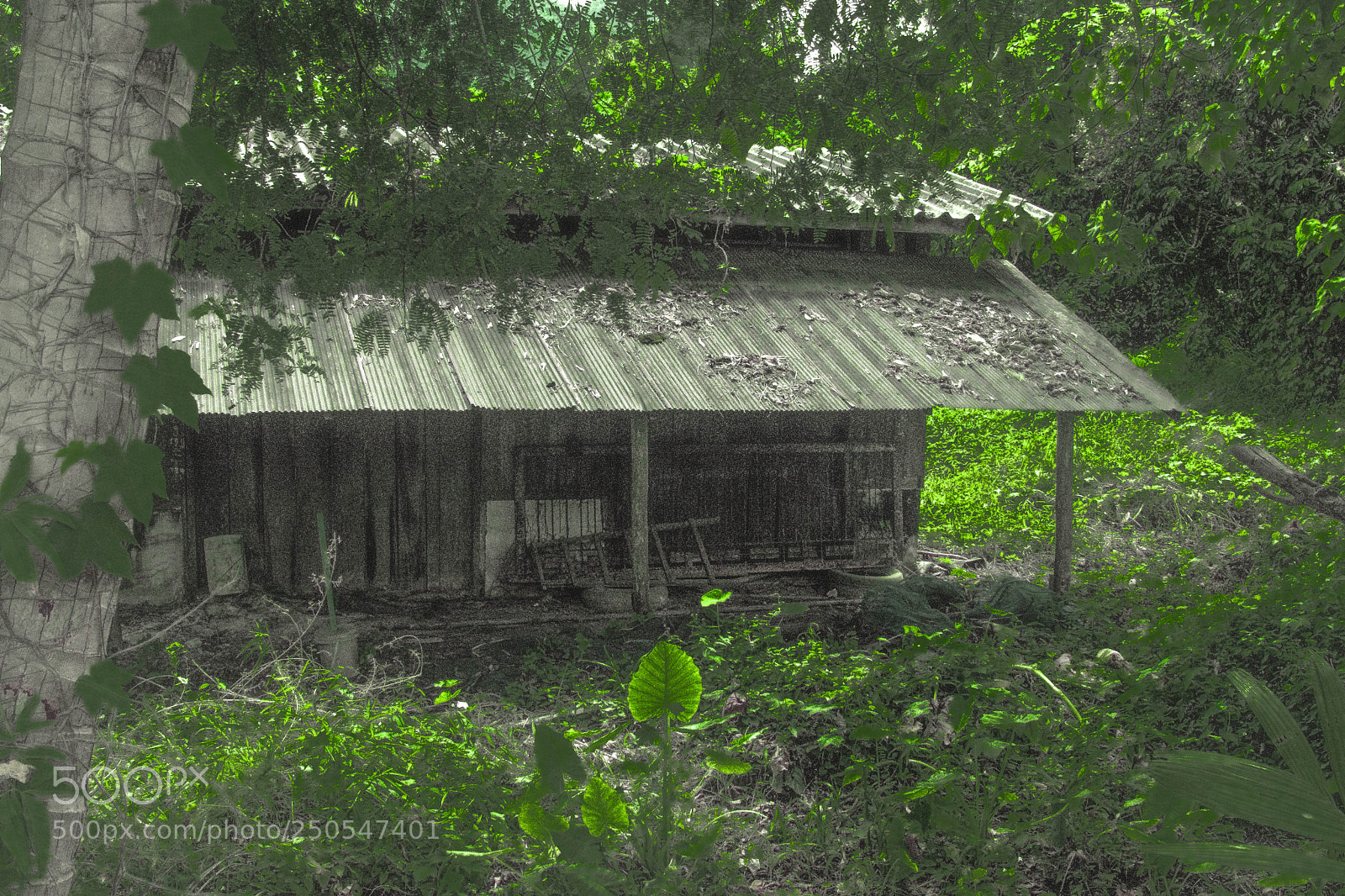 Nikon D3300 sample photo. House for sale "thailand". photography