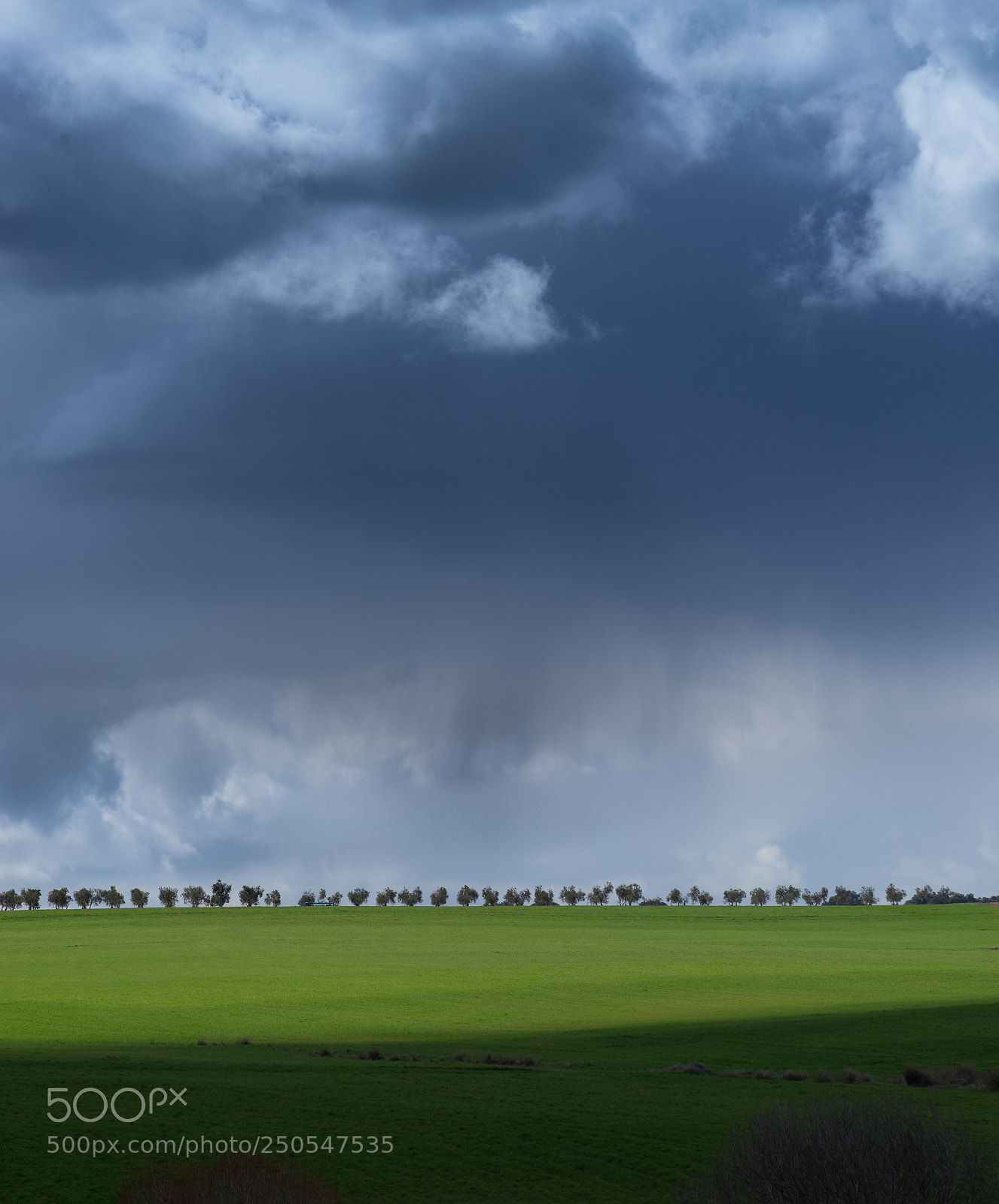 Sony a7 II sample photo. The spring is coming photography