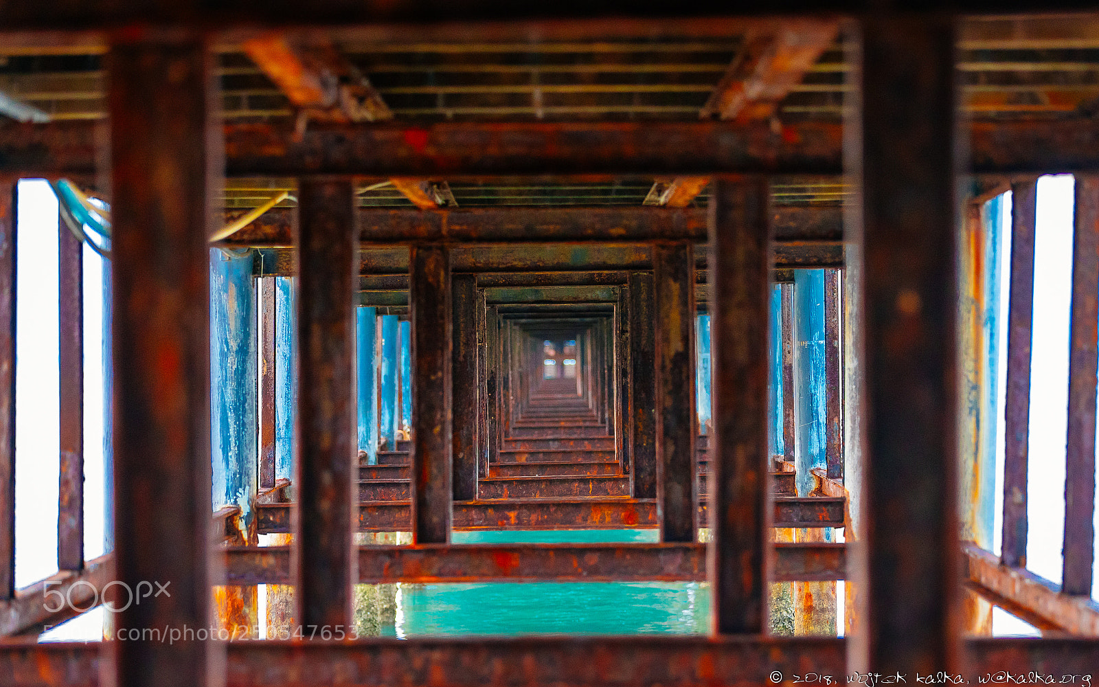 Canon EOS 5D Mark IV sample photo. Into the ocean photography
