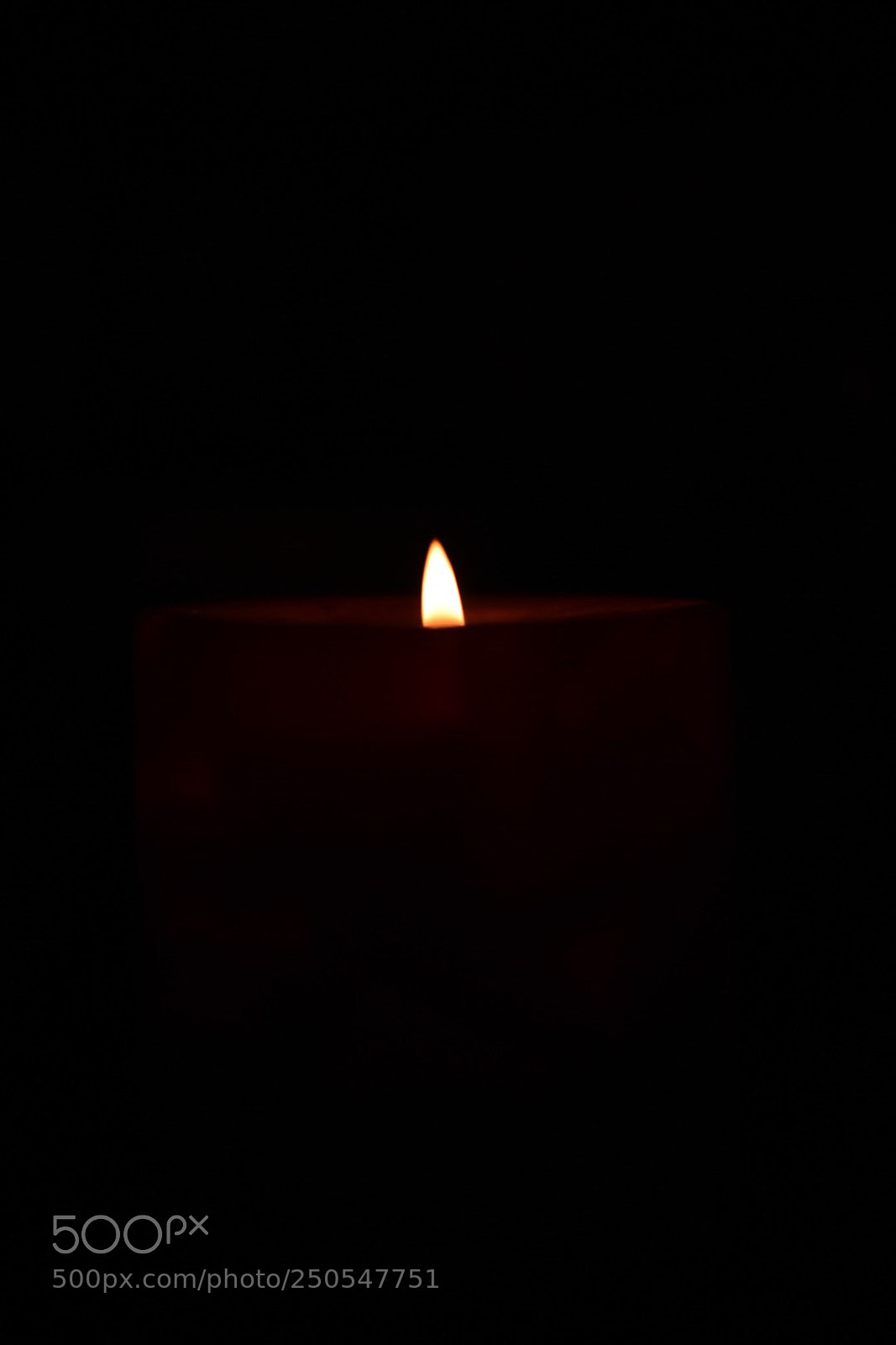 Nikon D3300 sample photo. The flame. photography
